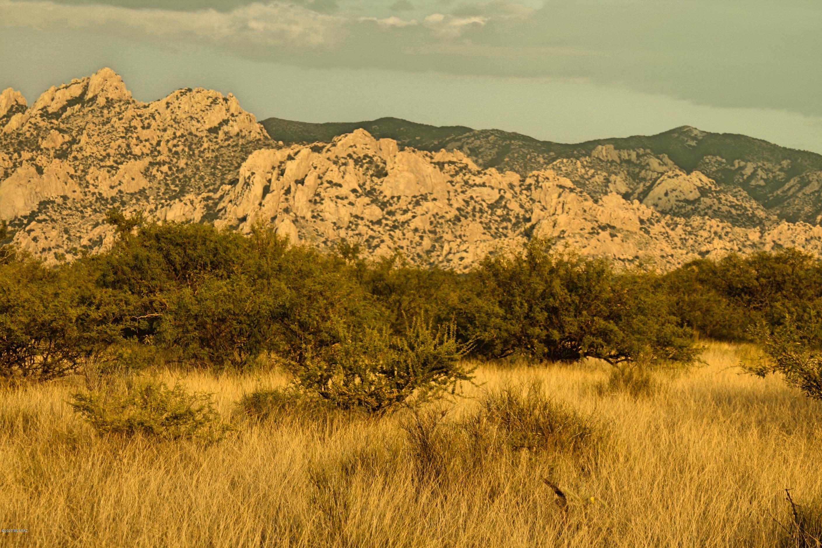Dragoon Mountain Ranch - Land