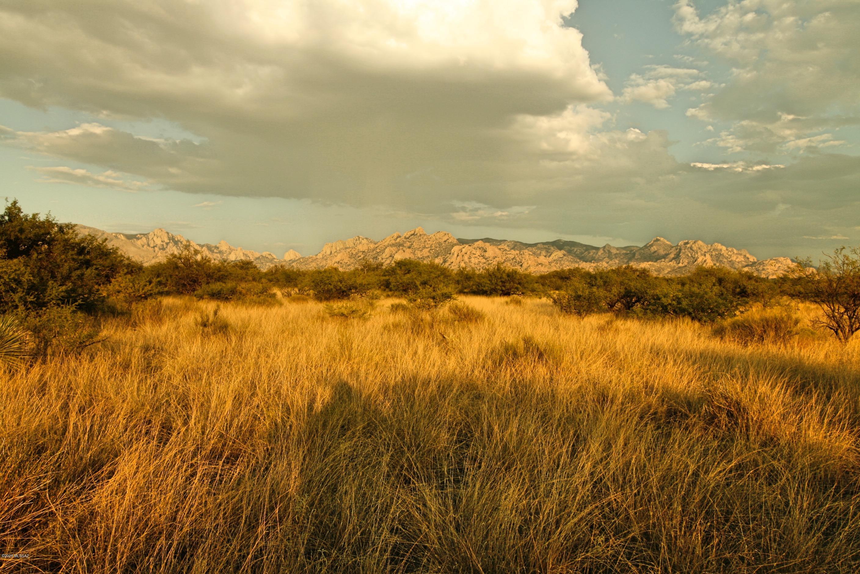 Dragoon Mountain Ranch - Land