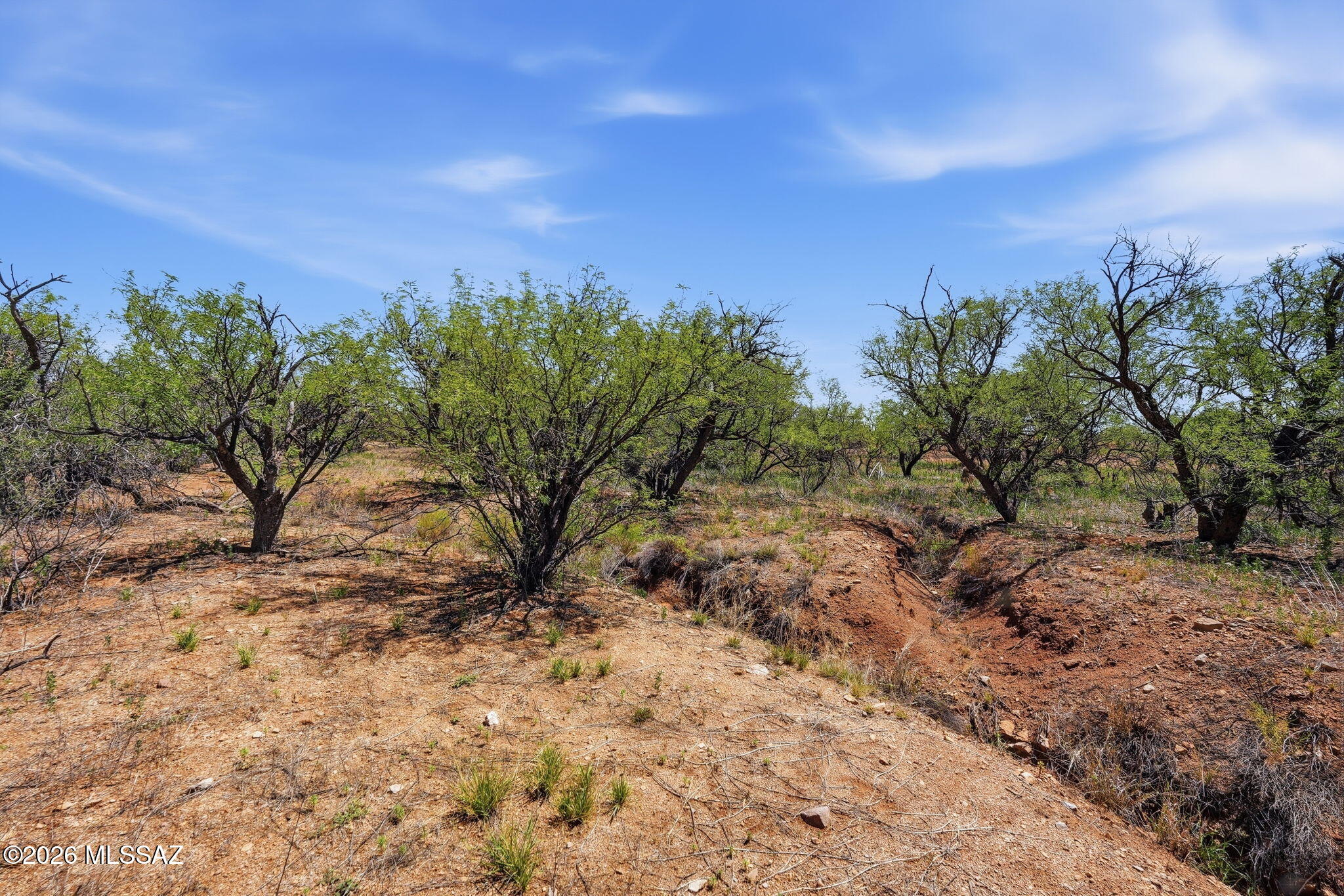 Arivaca Lake Est - Residential