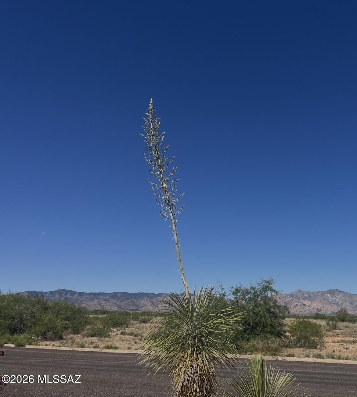 Arizona Sun Sites - Residential