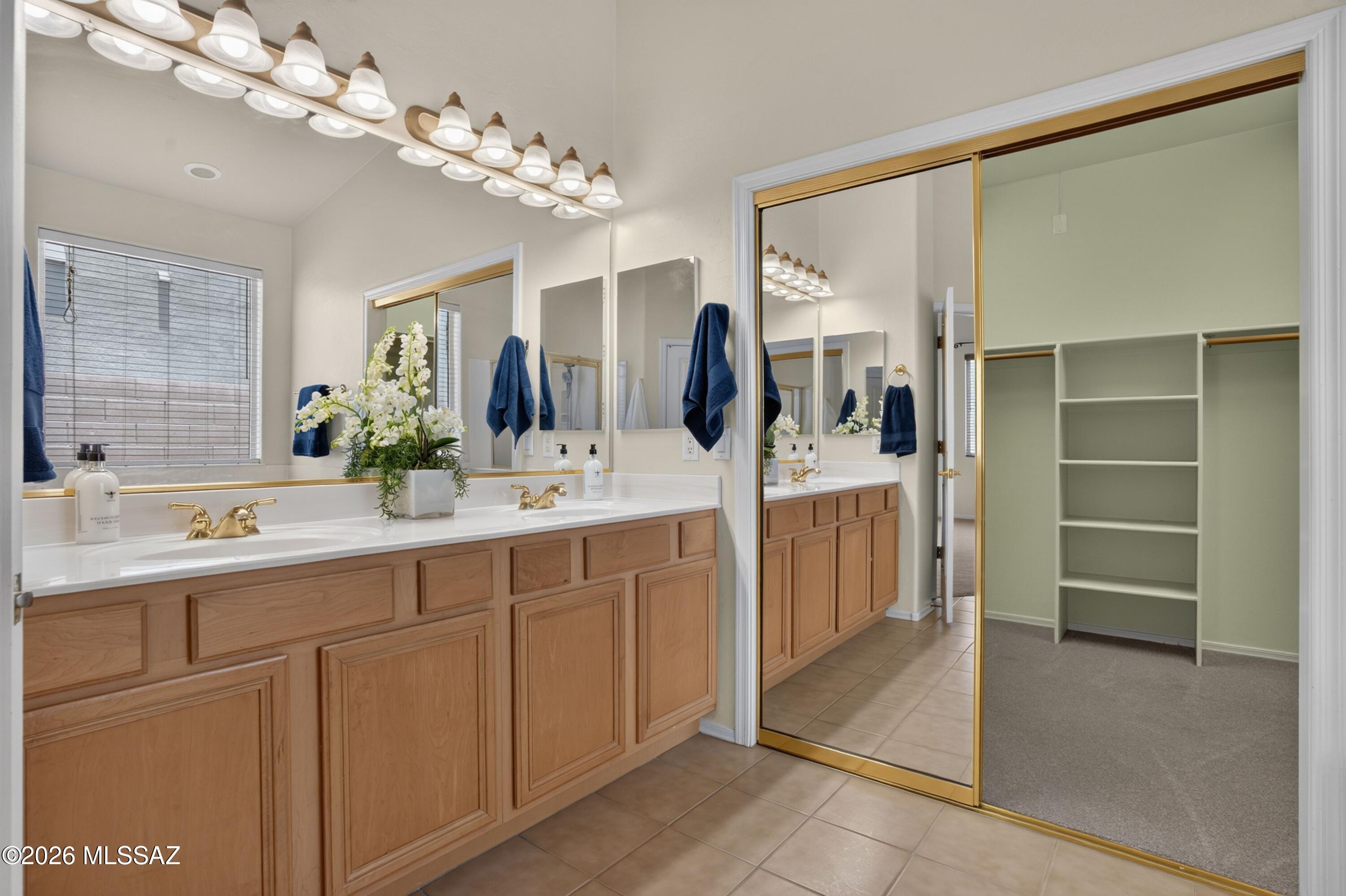 Sabino Mountain (1-290) - Residential