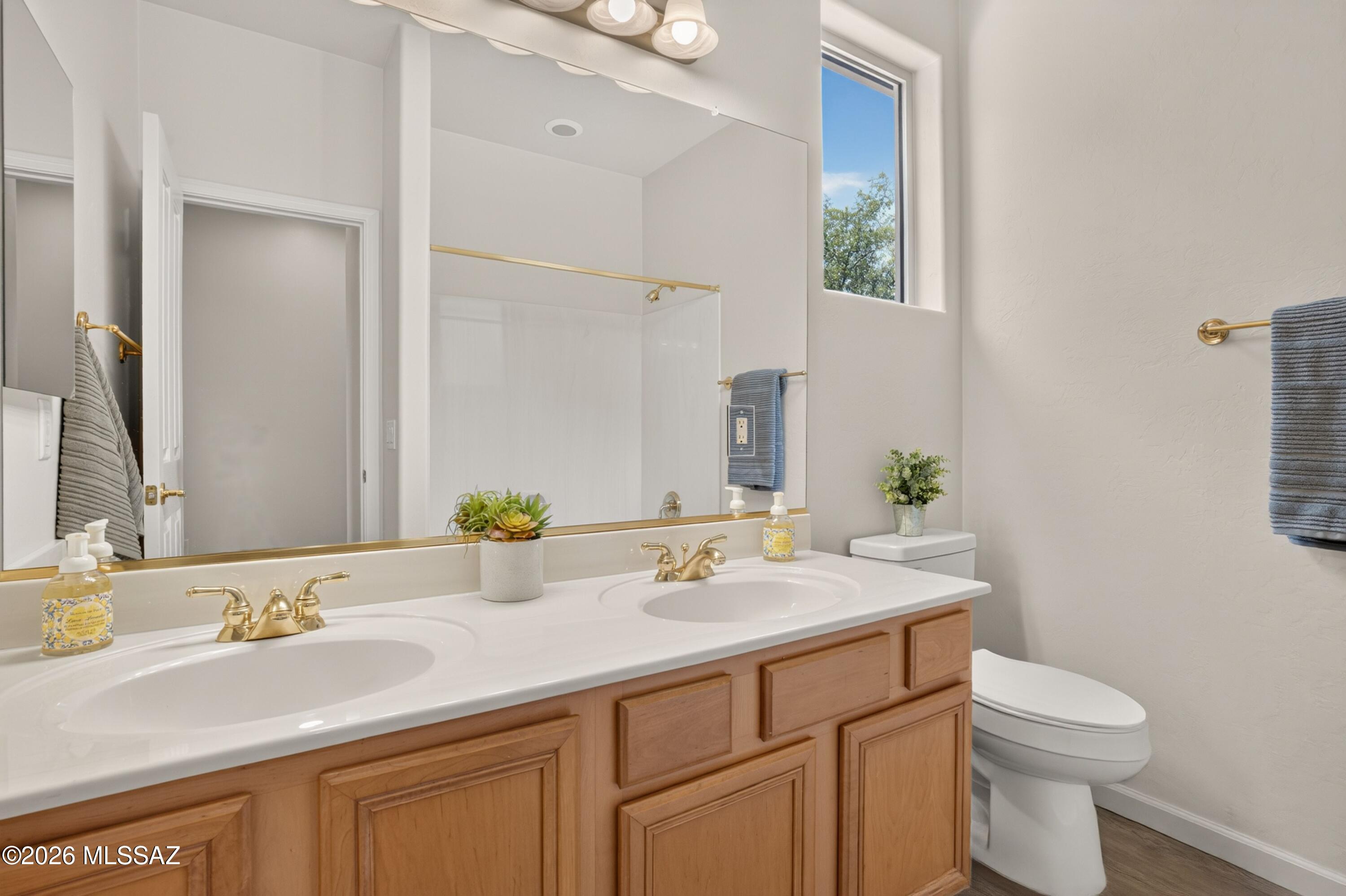 Sabino Mountain (1-290) - Residential