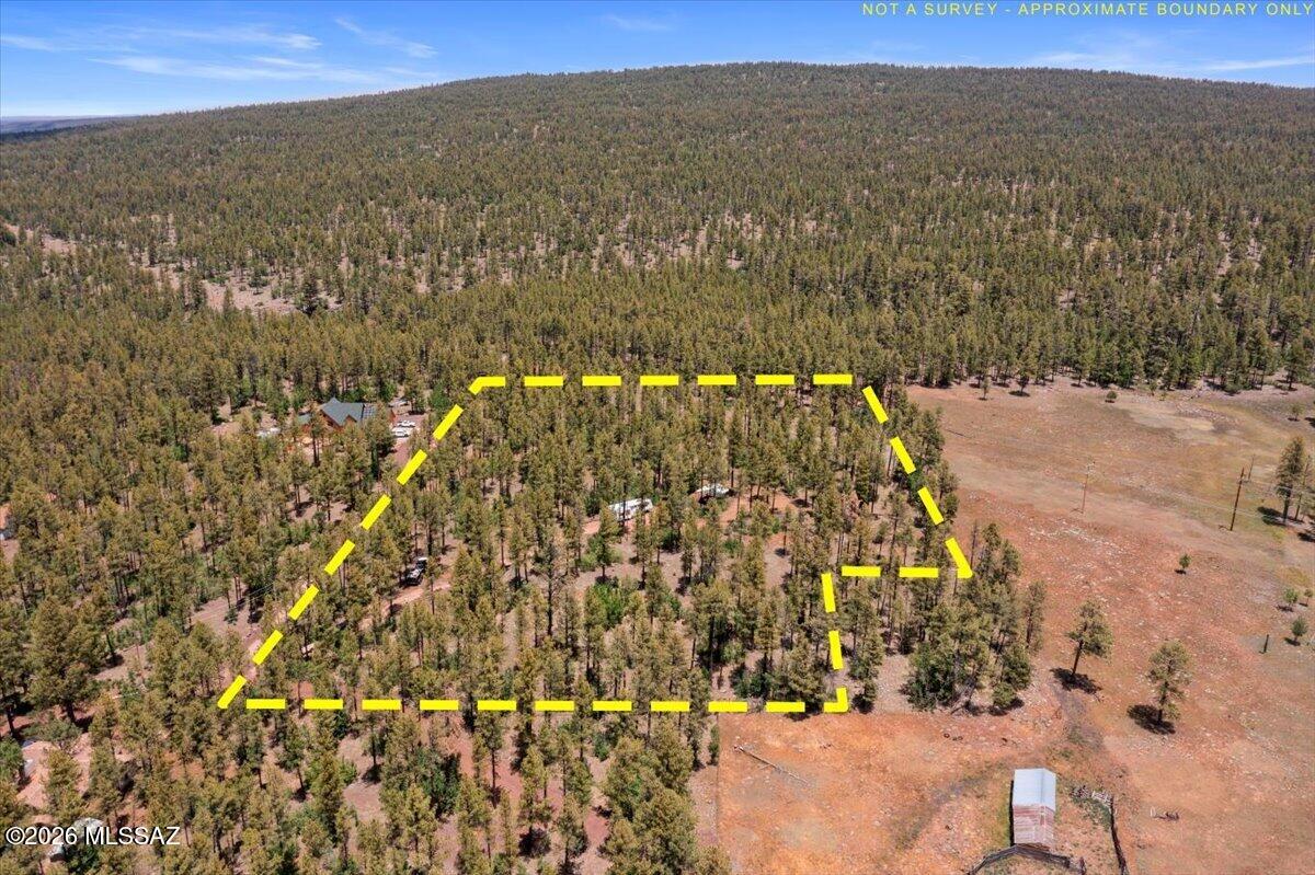 Out Of Pima County - Land