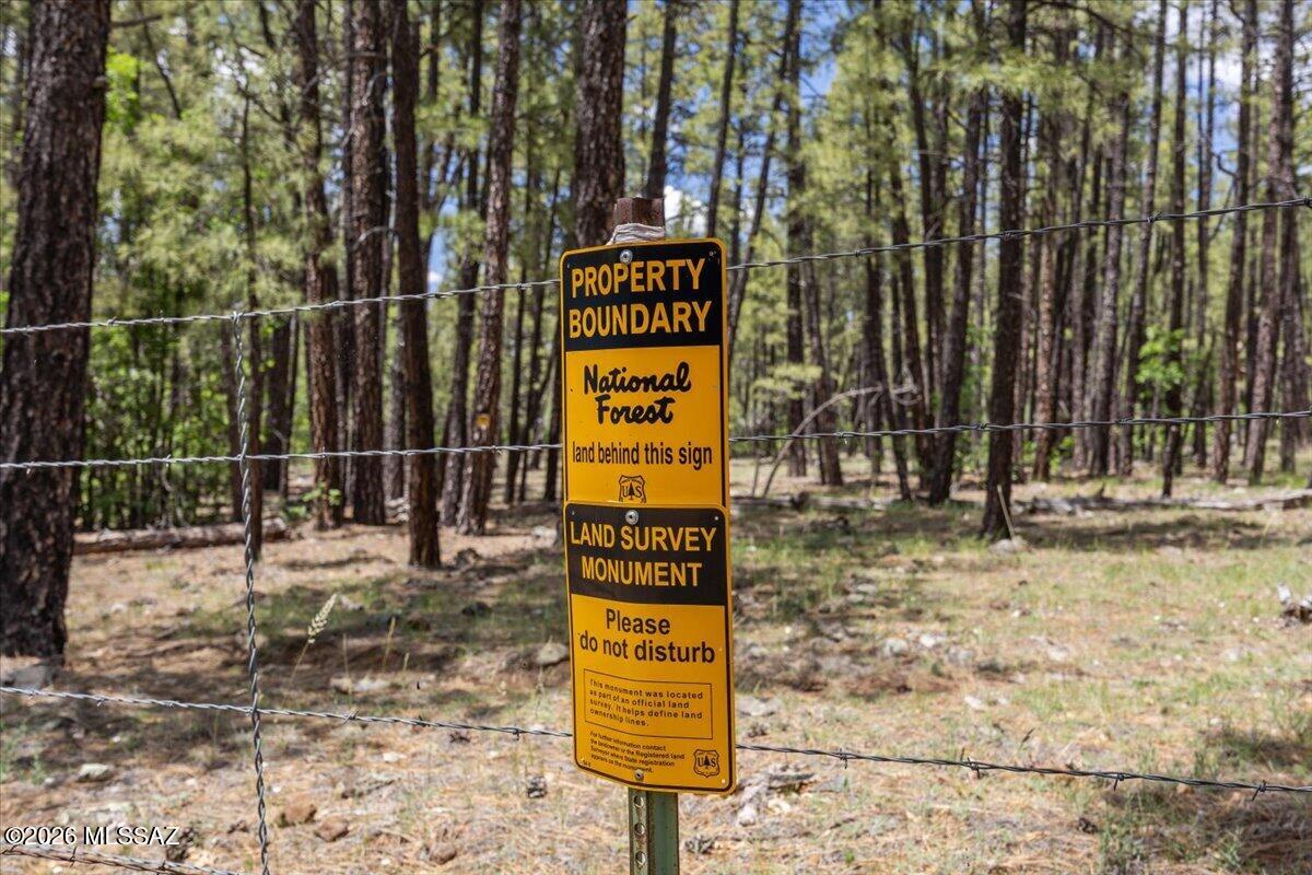 Out Of Pima County - Land