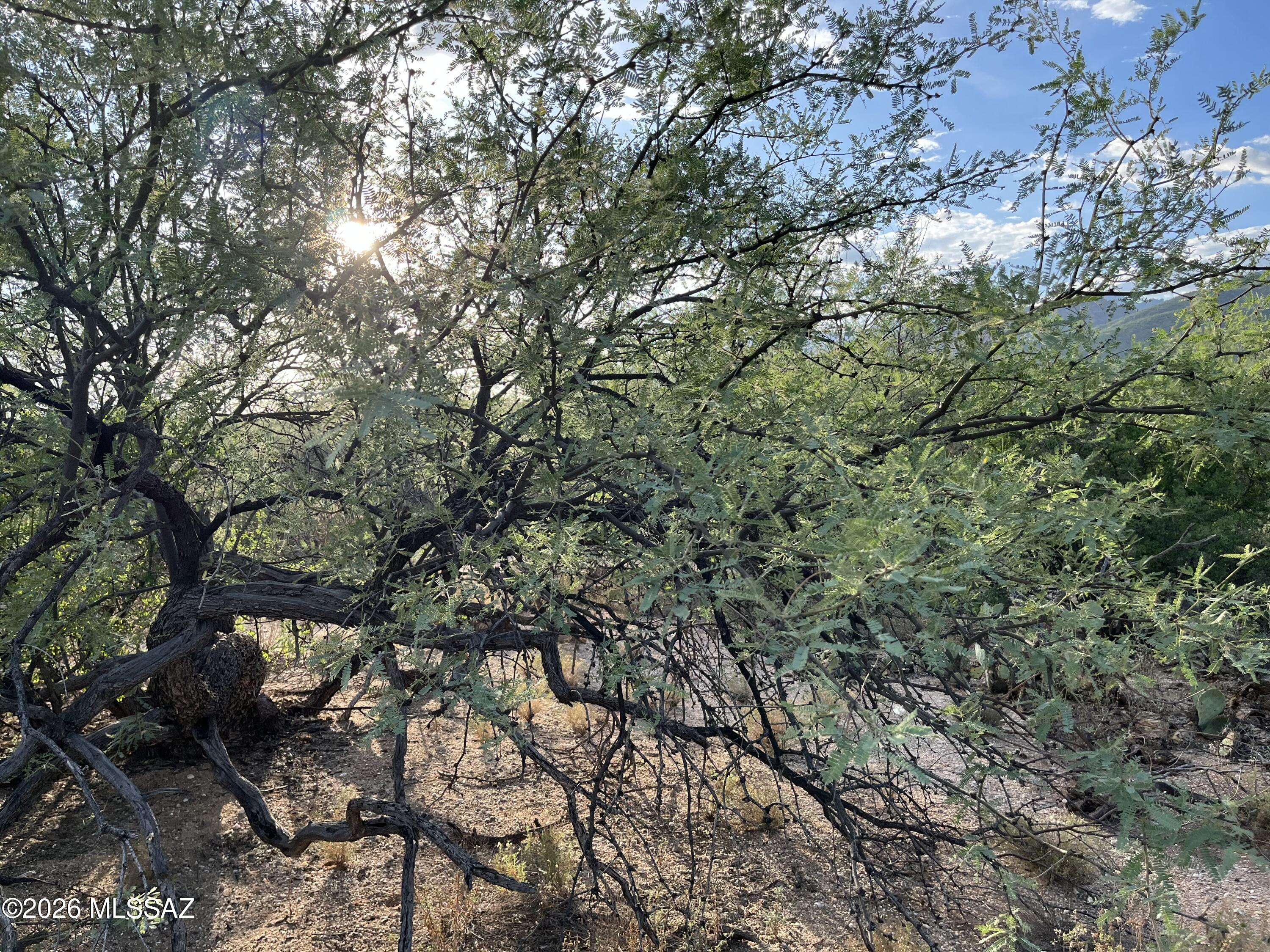 Fetzer Ranch (1-60) - Land