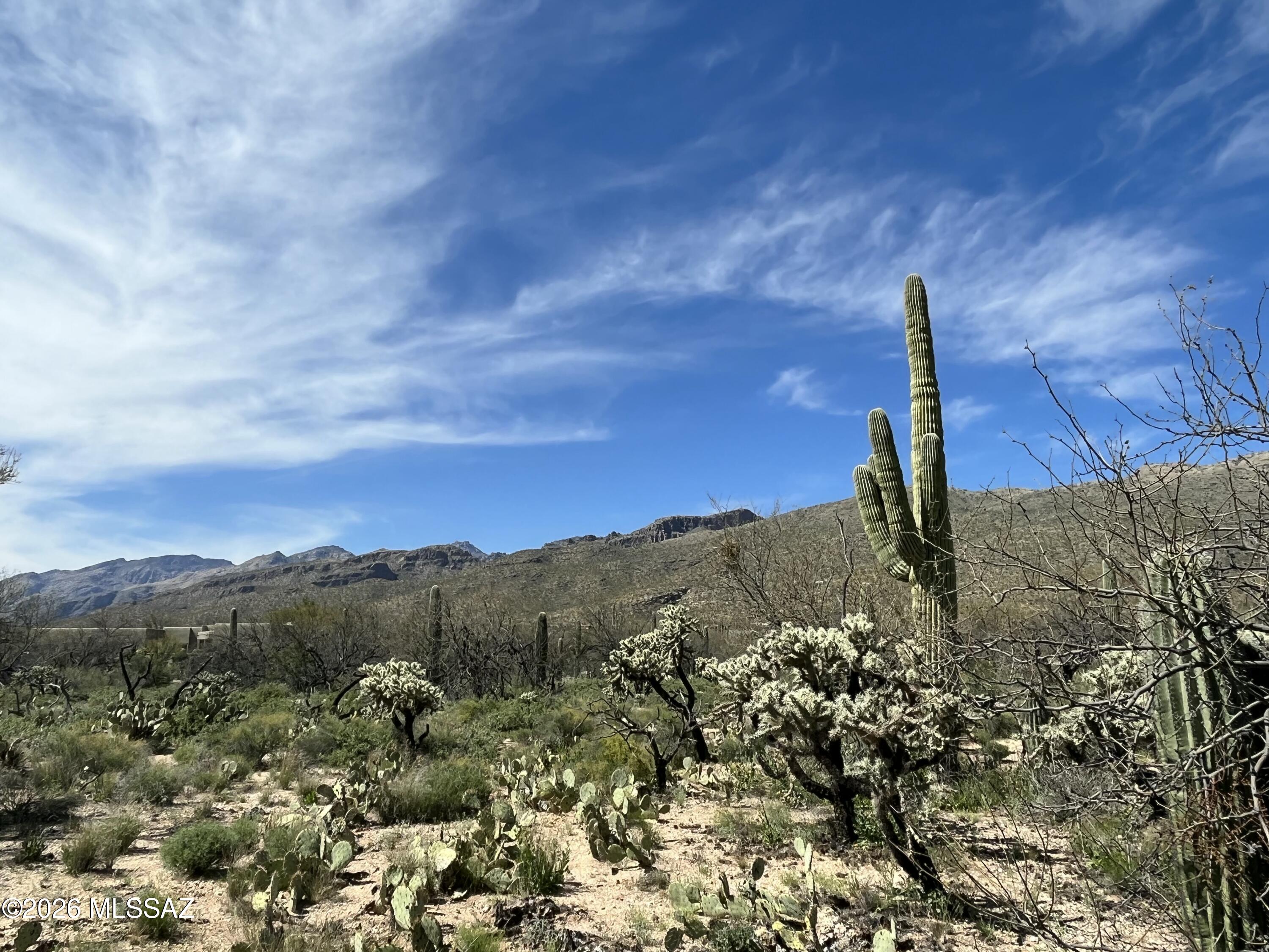 Fetzer Ranch (1-60) - Land