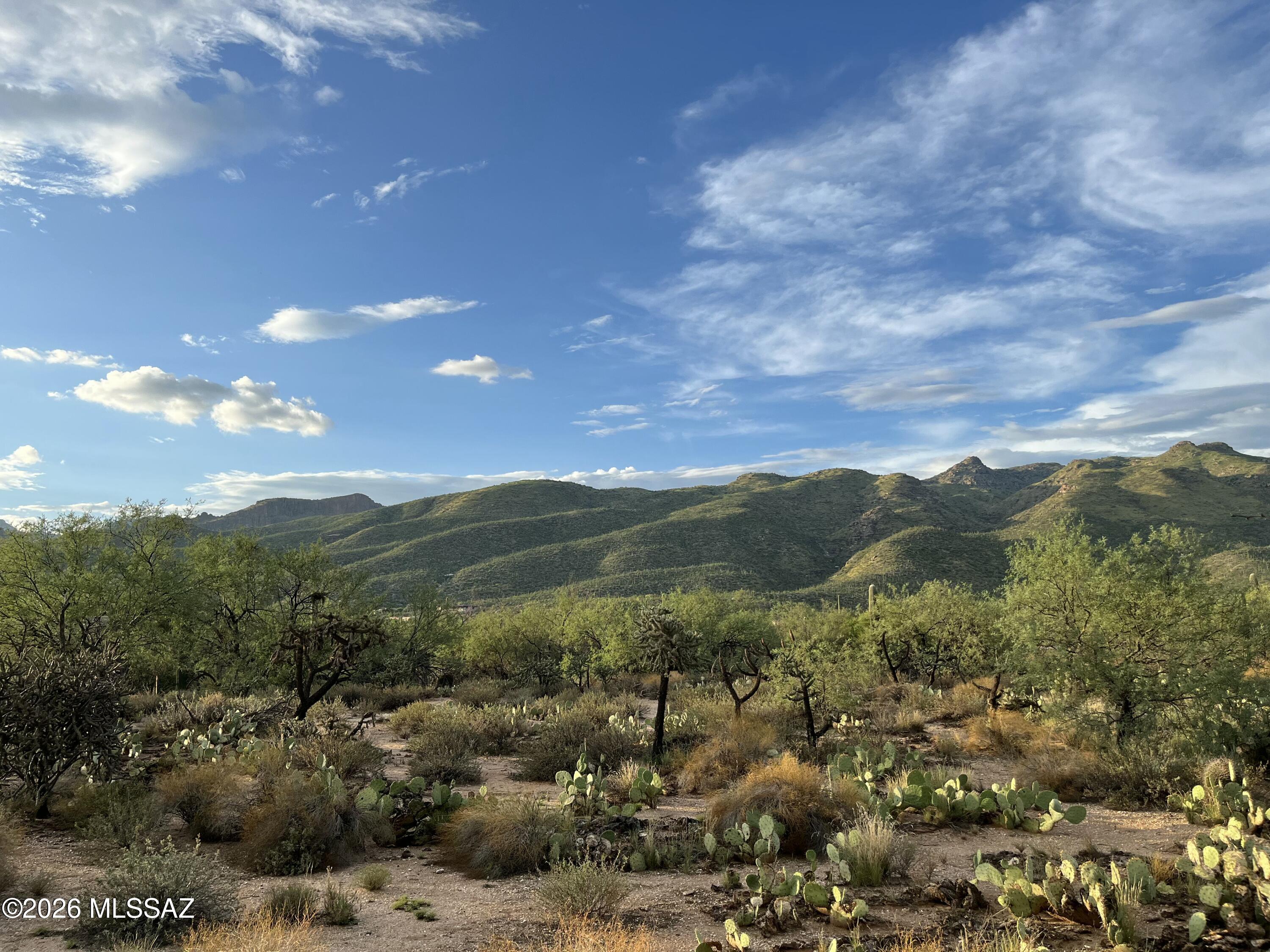 Fetzer Ranch (1-60) - Land