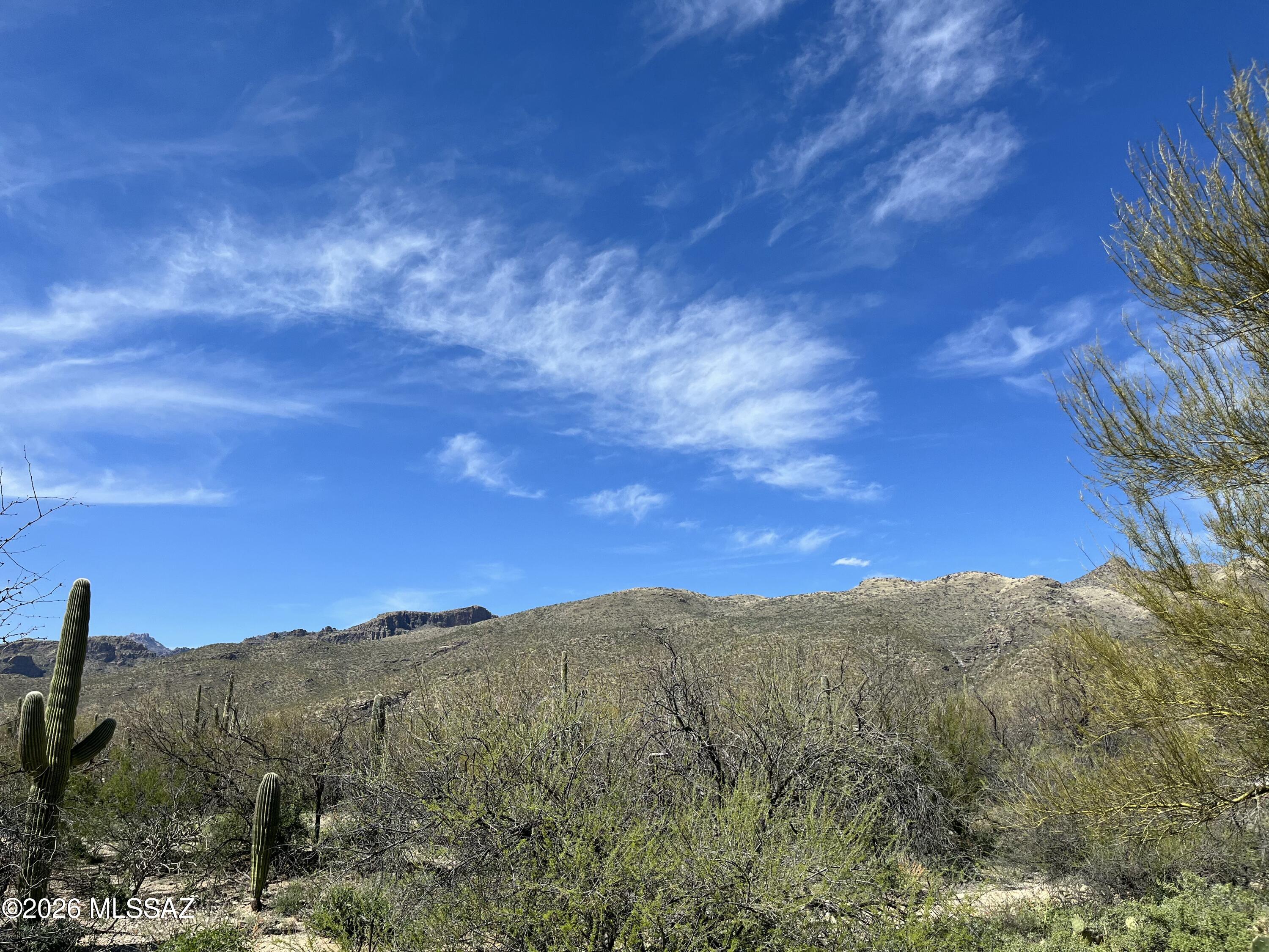 Fetzer Ranch (1-60) - Land