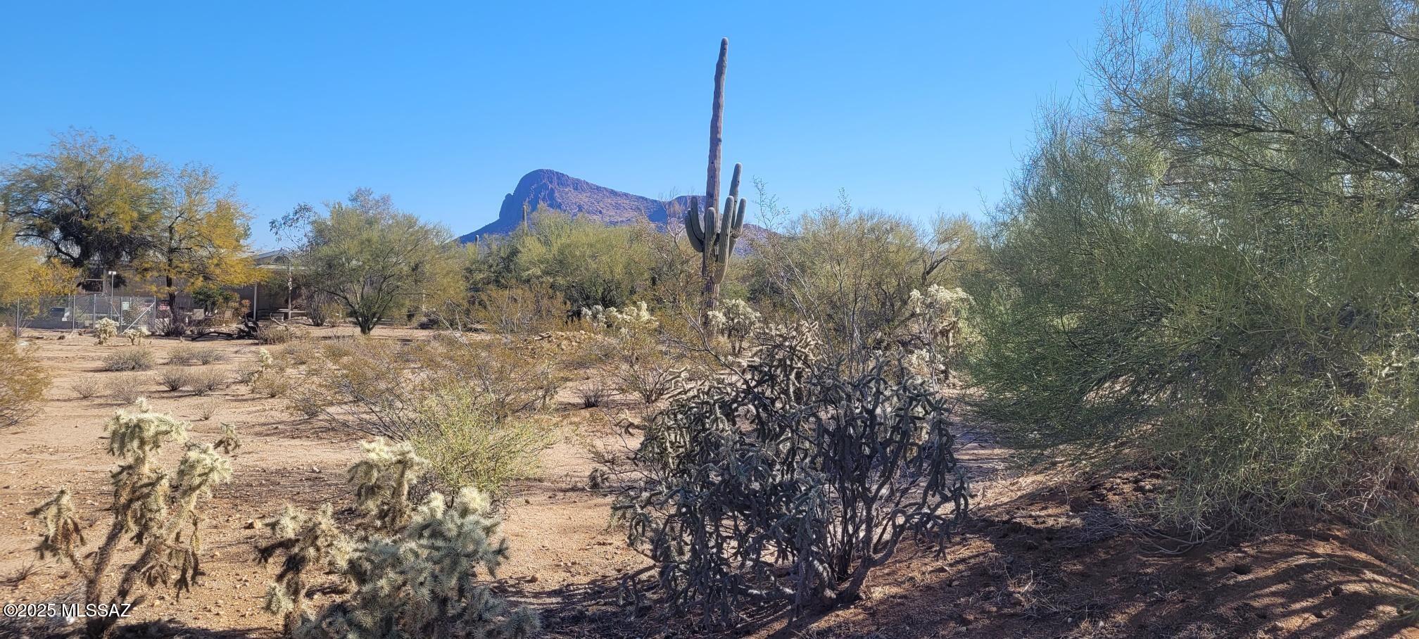 Nicely vegetated flat 1+ acre undeveloped lot in beautiful Picture Rocks, 15 minutes west of Ina/I-10. Gorgeous views of Panther Peak and beautiful sunsets. Fenced on 3 sides. Ready for your dreams!
