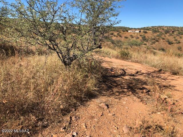 Rio Rico Estates 13 - Land