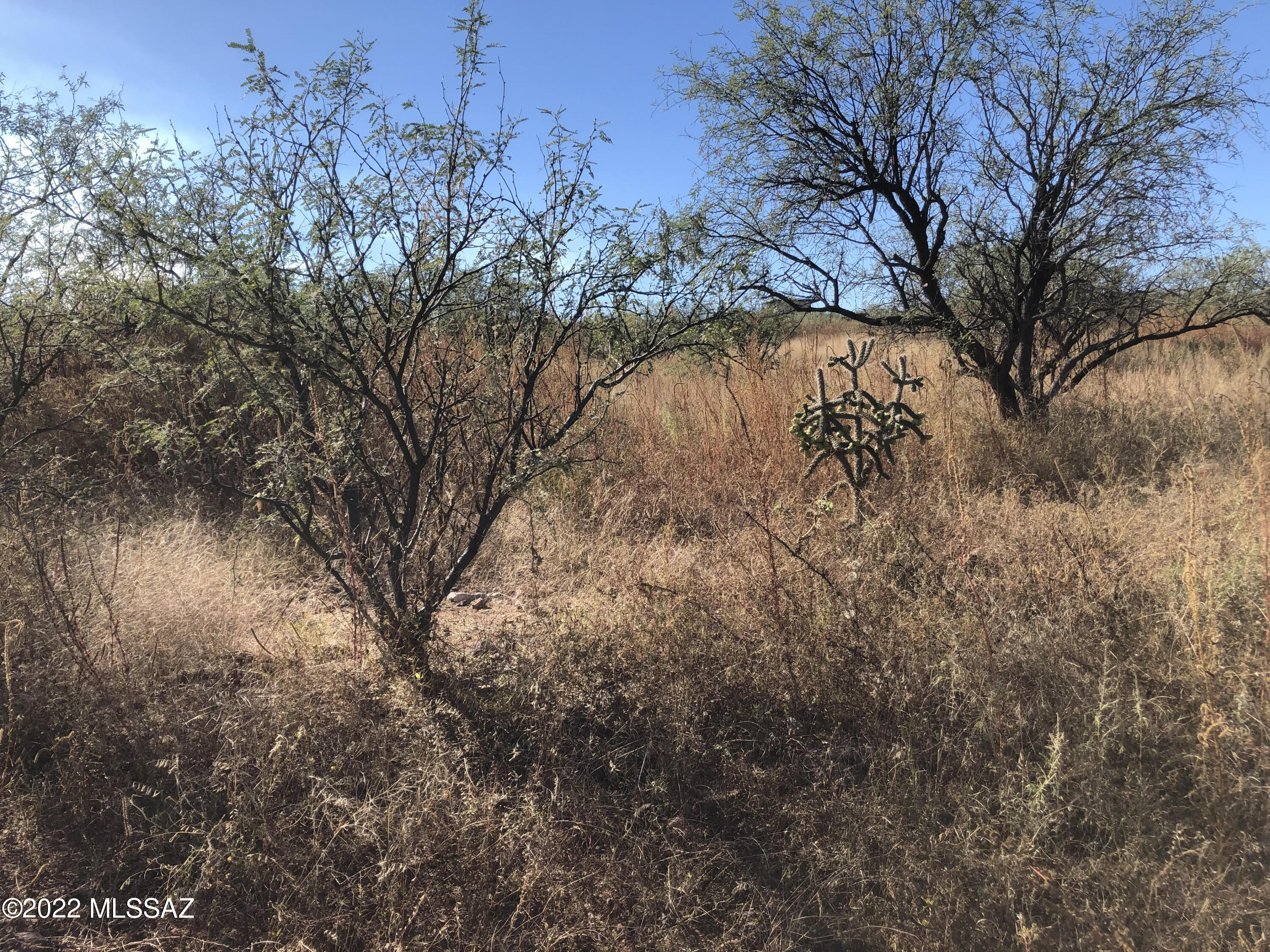 Rio Rico Estates 13 - Land