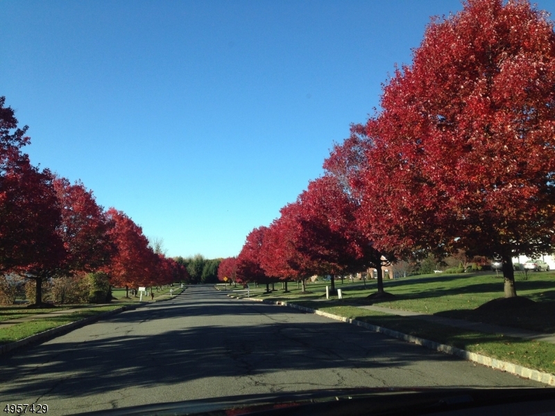 Woodbury Estates - Residential
