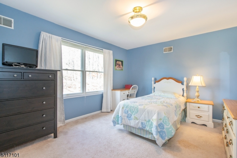 Budd Lake - Residential