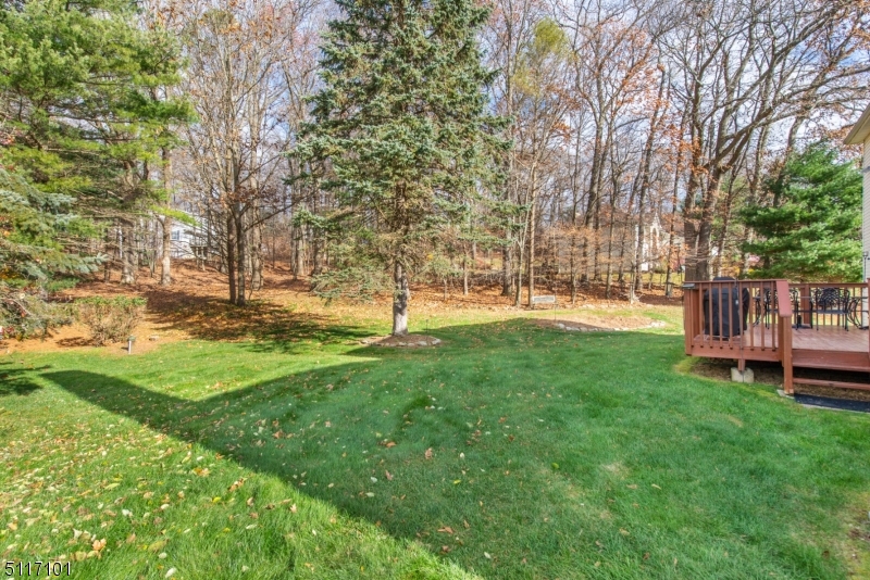 Budd Lake - Residential