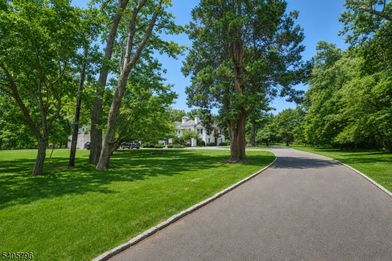 Llewellyn Park - Residential