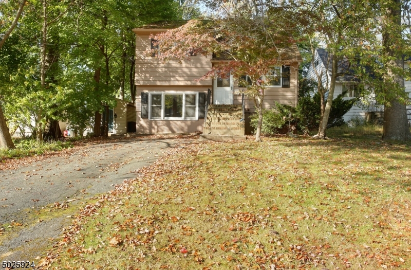 Lake Hiawatha - Residential
