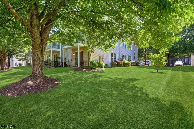 Society Hill - Residential