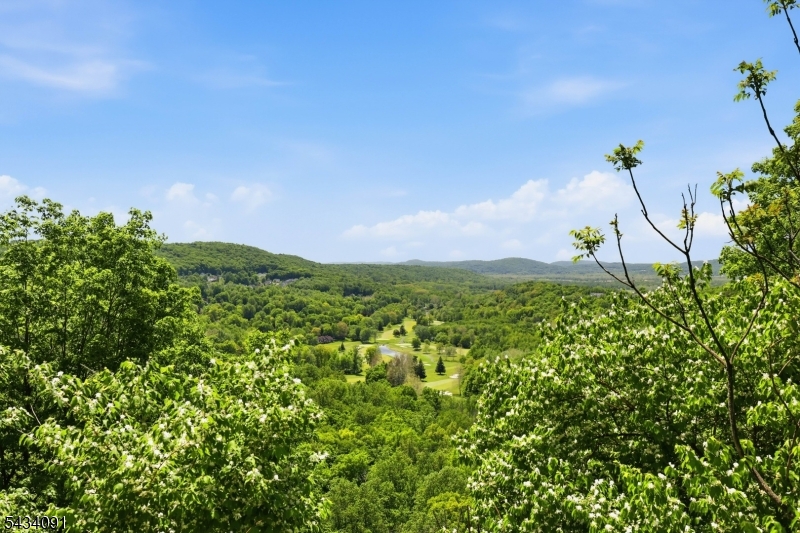 Panther  Valley - Residential