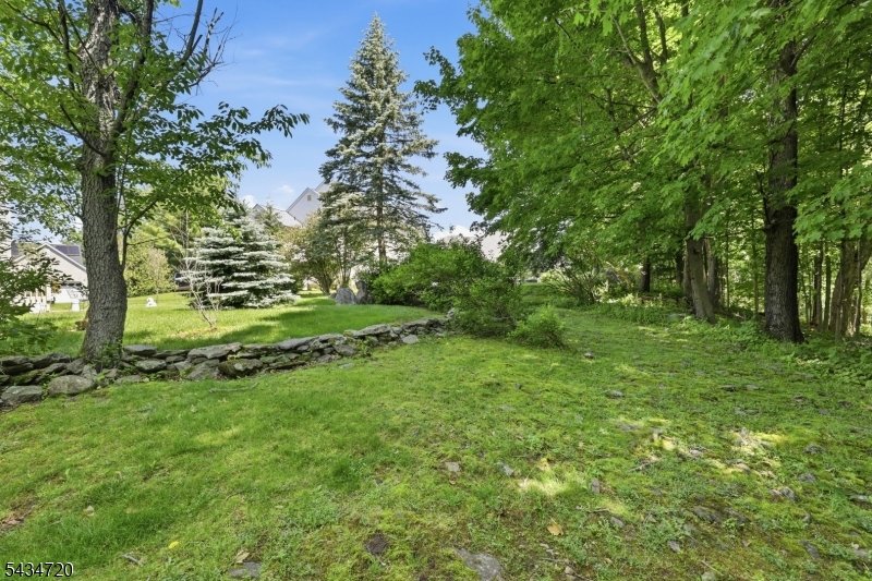 Panther  Valley - Residential