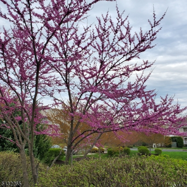 SOMERSET RUN - Residential