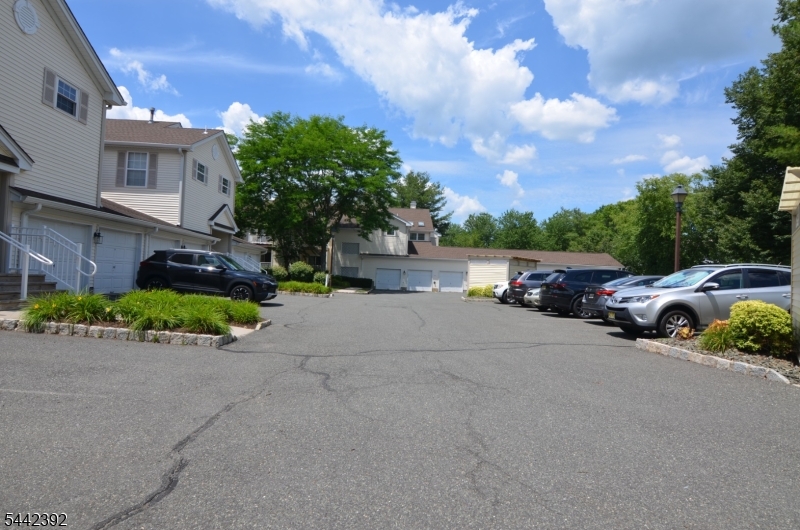 Spring Ridge - Residential Lease