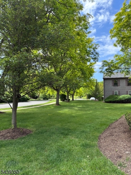 Panther Valley - Residential