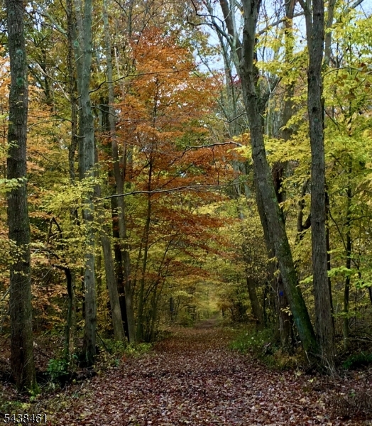 Woodland Club - Residential