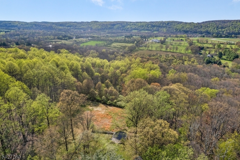 Prepare to fall in love with this property!  Spectacular views and privacy on this farm assessed 15.92 acres with two houses.   This Shangri-la has both a charming cottage and an additional cabin. A country retreat an hour from NYC.  In the cottage there are 6 rooms; A Great Room, Kitchen, 2 Bedrooms, A Sitting Room and a Laundry Room.  The Kitchen and Bath were renovated in 2025 and new thermal windows were added then.. The cottage has 4 Dutch doors and a lovely stone fireplace and fabulous views from every window! In addition there is a log faced cabin on this property!  This rustic retreat could be a guest cottage, home office, art studio, etc. The surroundings would certainly be an inspiration for writers or artists. The cabin has a Kitchenette, Bath, Bedroom and large Living Room with a stone fireplace and original knotty pine paneling. This paradise is secluded but located minutes from shopping and major commuter routes. Highly ranked West Morris Central HS and Washington Township Elementary (Long Valley) schools. Sold in "as is" condition.