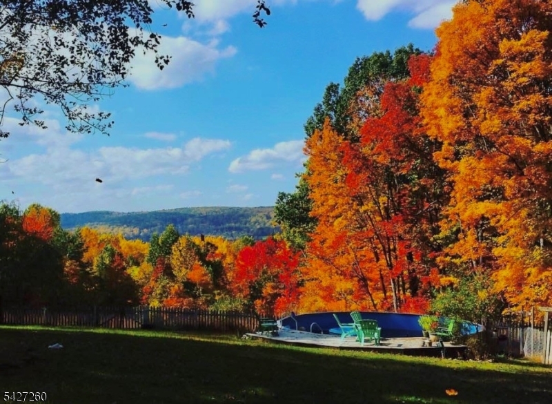 Turtleback Road - Residential