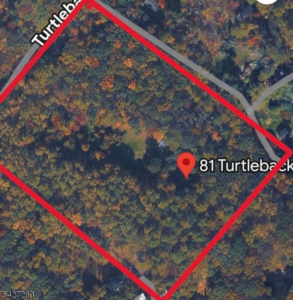 Turtleback Road - Residential
