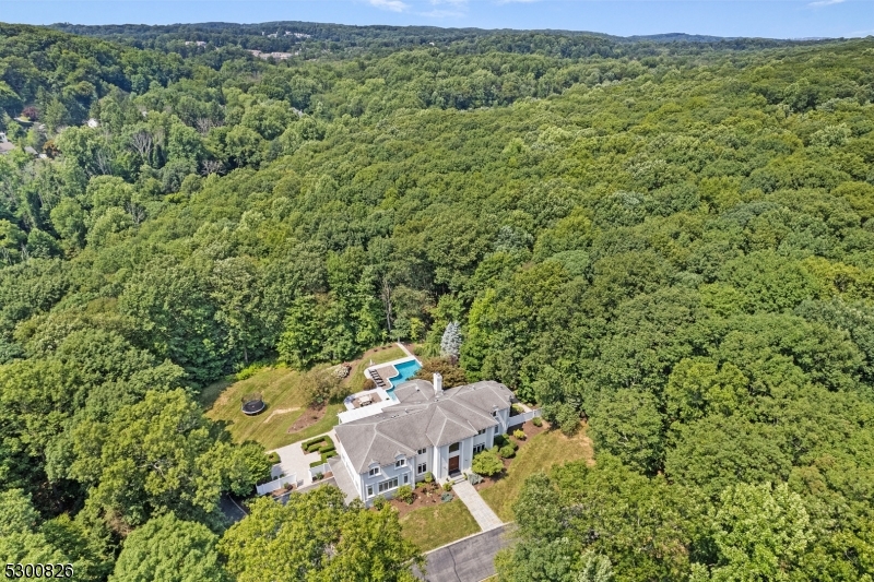 Utterly spectacular hard coat stucco custom home personifies elegance & sophistication. Coveted east Mendham Twp commuter-friendly location sited prominently on a private cul-de-sac lane with over 7.2 acres of picturesque woodlands including 6.2 acres that are farm assessed.  12 rooms including 5 bedrooms (first floor guest bedroom), four newly renovated full baths providing each bedroom with en suite access, two attractive updated powder rooms, 3 gas fireplaces, towering entryway, gorgeous designer kitchen, soaring great room, resplendent family room with eat-in area, handsome home office, media room, and a superb primary bedroom suite with sitting room and renovated bath. This over 5,400 sq ft luxury home has a comfortable, spacious floor plan and seamless flow with the added utility of a sprawling, partially finished lower level with walk-out, plus 3-car attached garage wit private meandering driveway, rear deck with pergola and outdoor kitchen, two spacious paver patios, totally refurbished in-ground heated swimming pool with cascading waterfall, swim-up bar/serving station, and showcase property bordered on all sides by rustic woodlands ensuring the utmost privacy.  Prized National Blue Ribbon elementary and middle schools, and top-rated high school recognized for its advanced placement International baccalaureate  Program (IB).