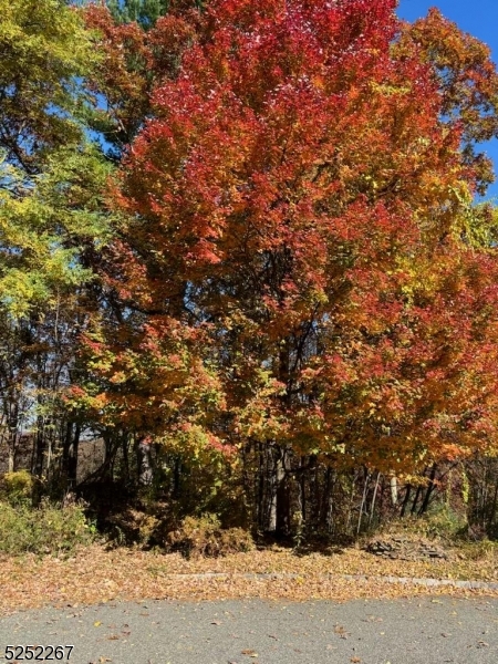 Residential - Land