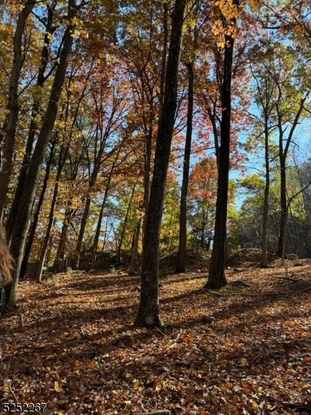 Residential - Land
