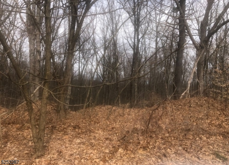 Residential - Land