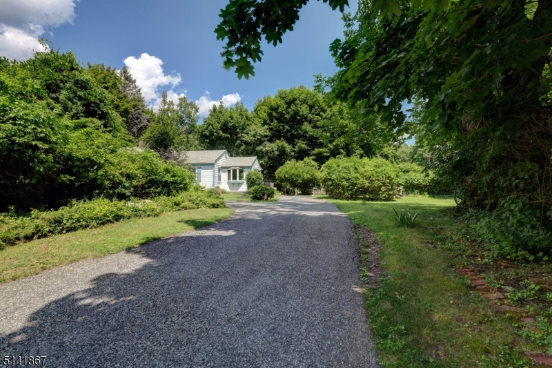 Cupsaw Lake - Residential