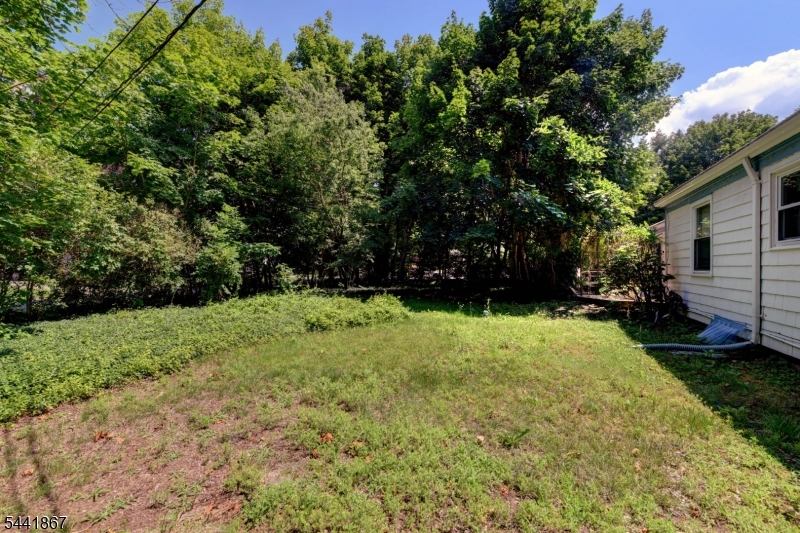 Cupsaw Lake - Residential