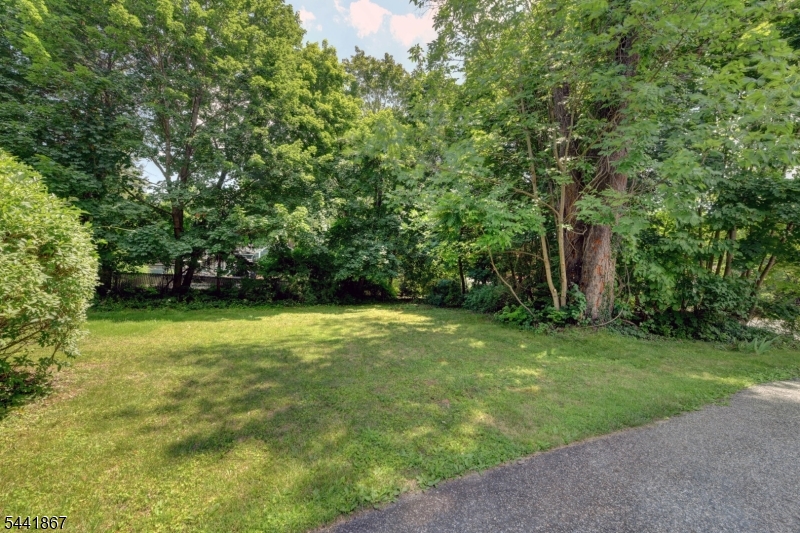 Cupsaw Lake - Residential