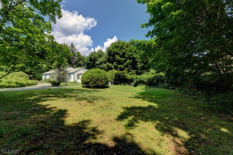 Cupsaw Lake - Residential