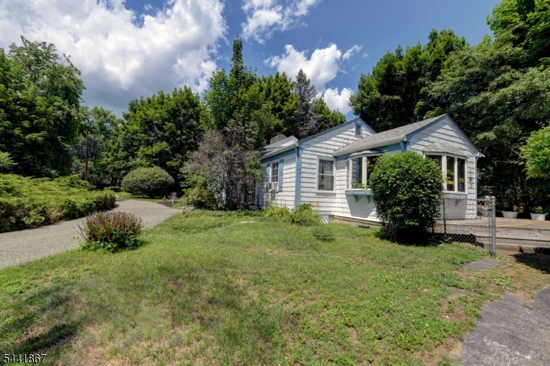 Cupsaw Lake - Residential
