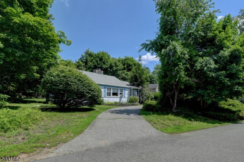 Cupsaw Lake - Residential