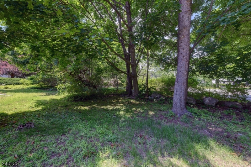 Cupsaw Lake - Residential