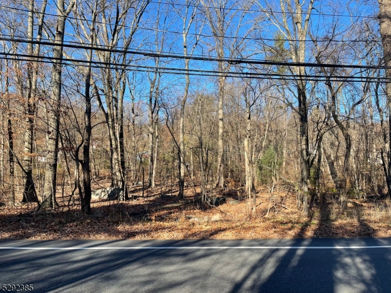 Upper greenwood lake - Land
