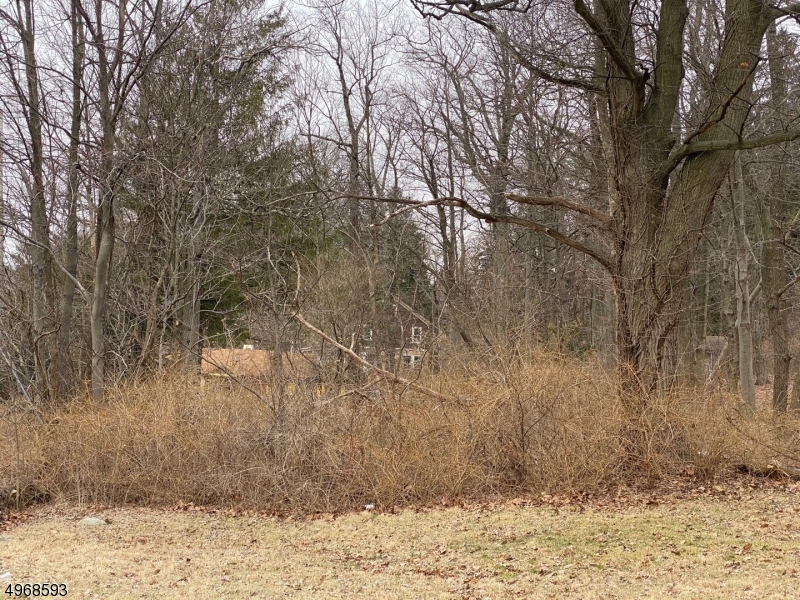 Budd Lake - Land