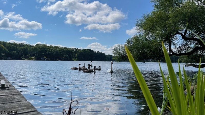 Cedar Lake - Residential