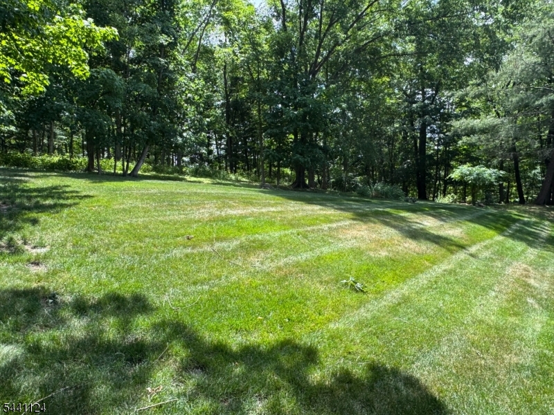 Timber Valley - Residential Lease