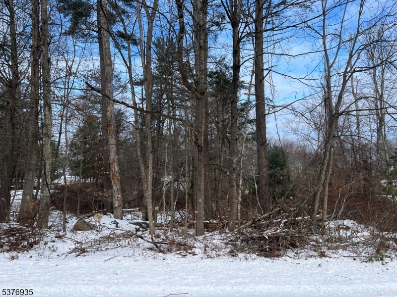 HERE'S YOUR CHANCE TO BUILD YOUR DREAM HOME ON THIS GORGEOUS LOT CLOSE TO BEAUTIFUL HOLIDAY LAKE LOCATED IN PRESTIGIOUS "HIGH POINT COUNTRY CLUB". THIS AMAZING LOT IS NESTLED WITHIN A PEACEFUL AND A WELL-MAINTAINED COUNTRY CLUB ENVIRONMENT THAT FEATURES A CLUBHOUSE, PRIVATE BEACH, DOG PARK, GOLF COURSE, DRIVING RANGE, BASKETBALL & TENNIS COURTS, PLAYGROUND AND A BOAT LAUNCH. PLENTY OF SPACE TO DESIGN YOUR CUSTOM HOME TAILORED TO YOUR LIFESTYLE.  AND CAN BE.  APPROVALS ARE AT PURCHASERS EXPENSE. OWNER DOES NOT HAVE A SURVEY.