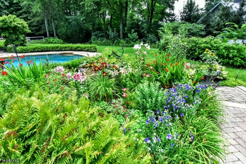 Chestnut Ridge - Residential