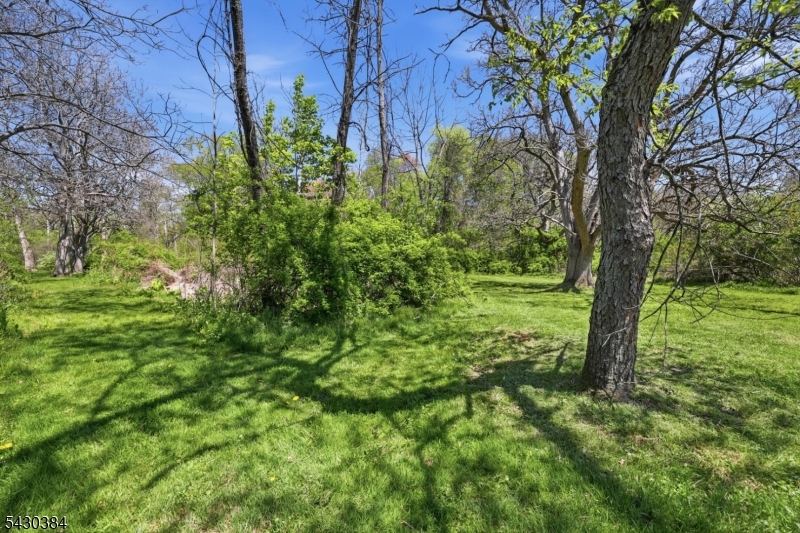 Long Valley - Residential