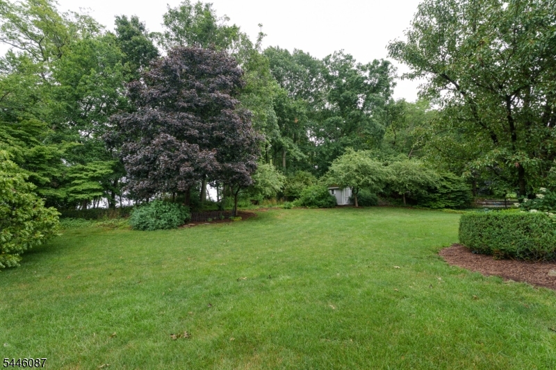 Shy Creek Estates - Residential