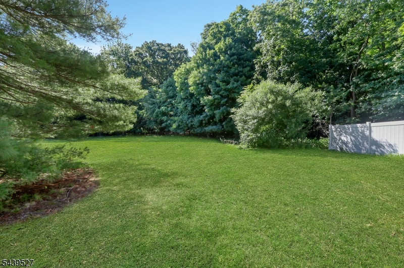 Morris Plains - Residential